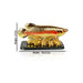 Feng Shui Fish with Coins for Career Luck and Education Luck