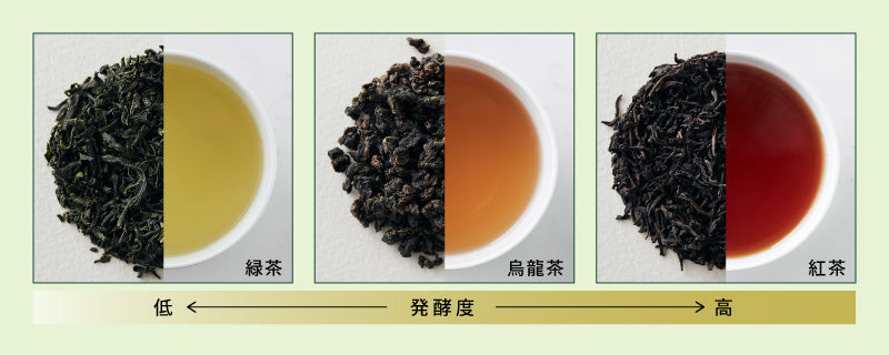 茶葉の発酵度