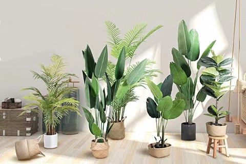 A variety of indoor artificial plants in pots in living room.