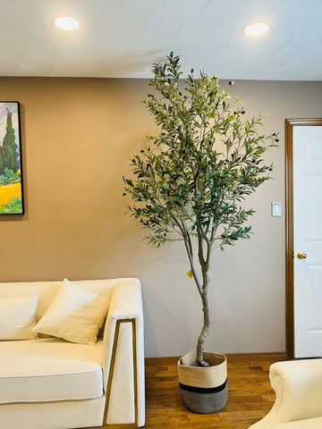 An Artificial Olive Tree in the room with white sofa besides it.