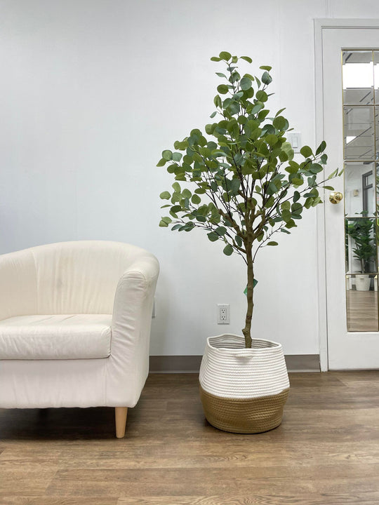 An Artificial Eucalyptus Plant in the living room.