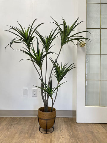 An Artificial Yucca Plant