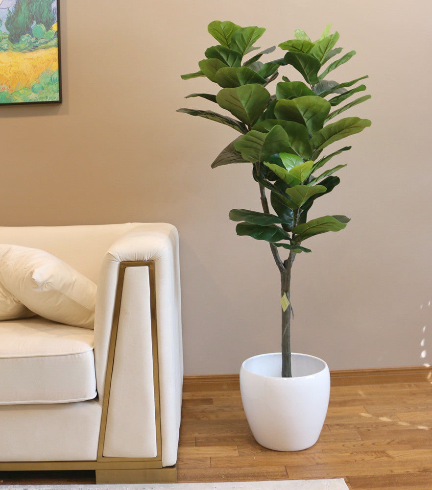 A 5 ft tall Artificial Fiddle Fig Tree