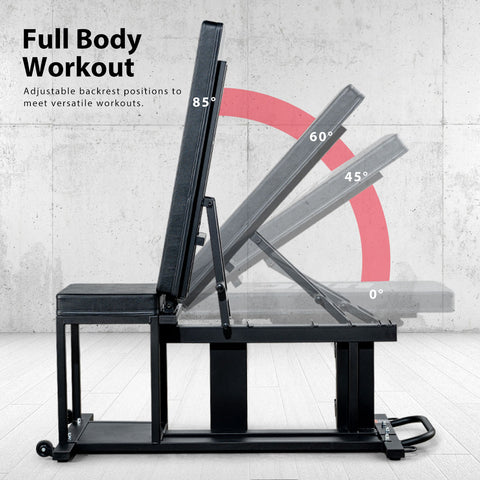 Full Body Workout Bench