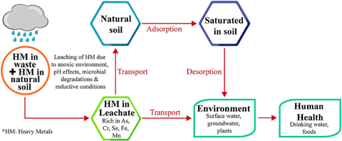 a flow chart showing the transportation of heavy metals from battery sources