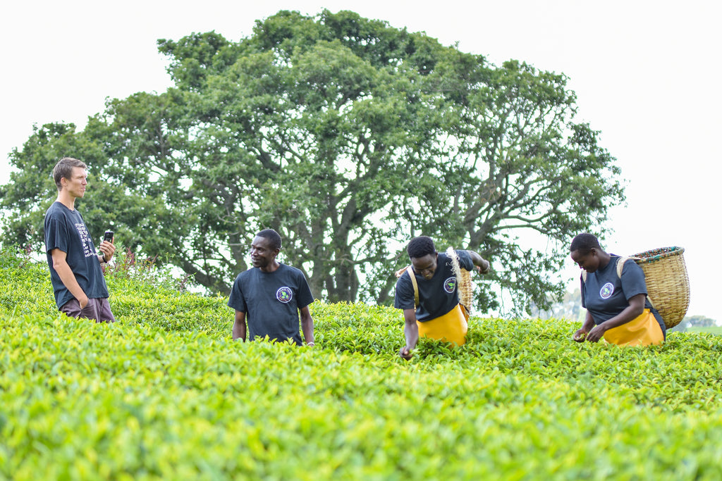 tea farmers in Kenya