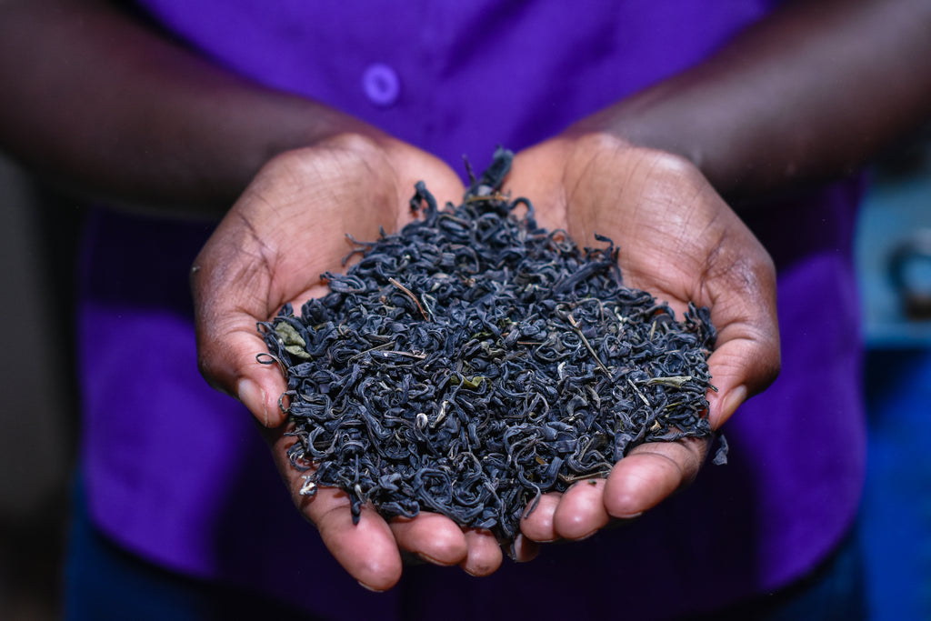 organic tea from tea farmers in kenya