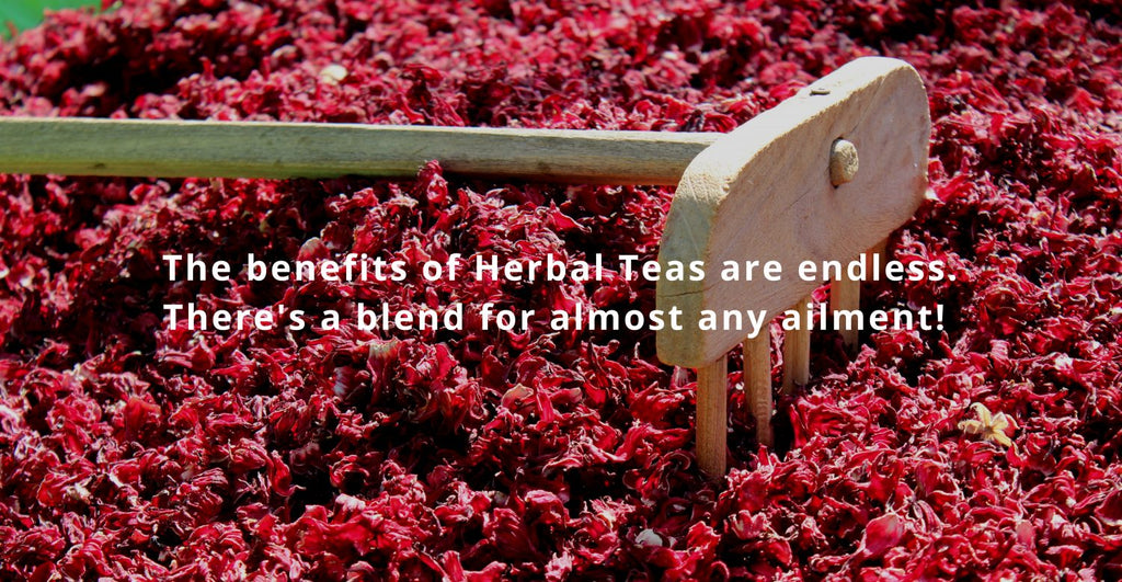 Hibiscus Herbal Tea