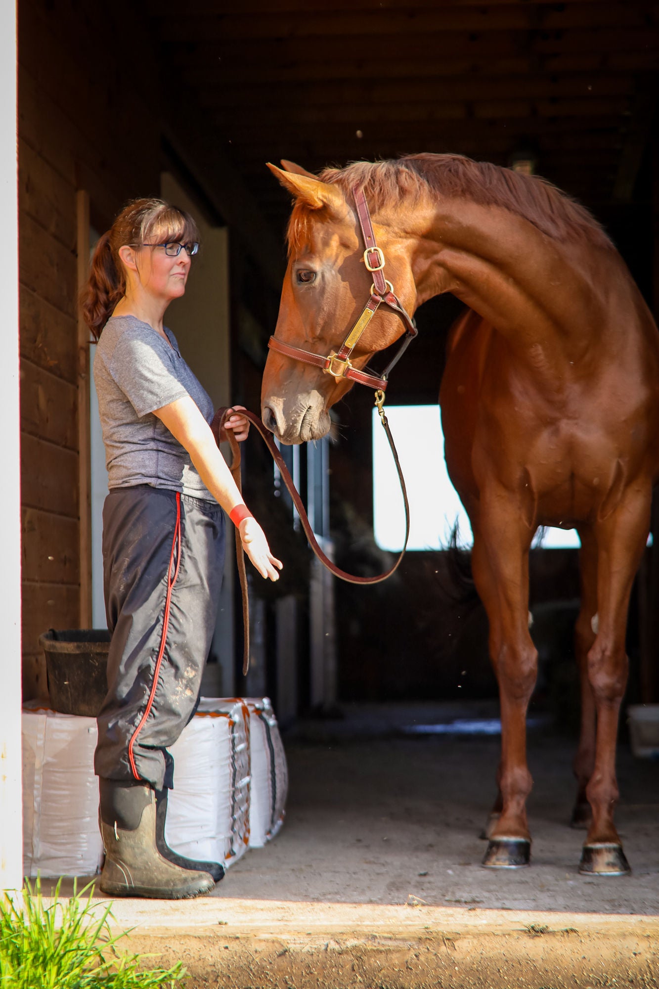 Photo of Linda Shantz, equestrian artist and author with her chestnut Thoroughbred mare, Gracie.