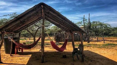 Wayuu tribe rancheria life