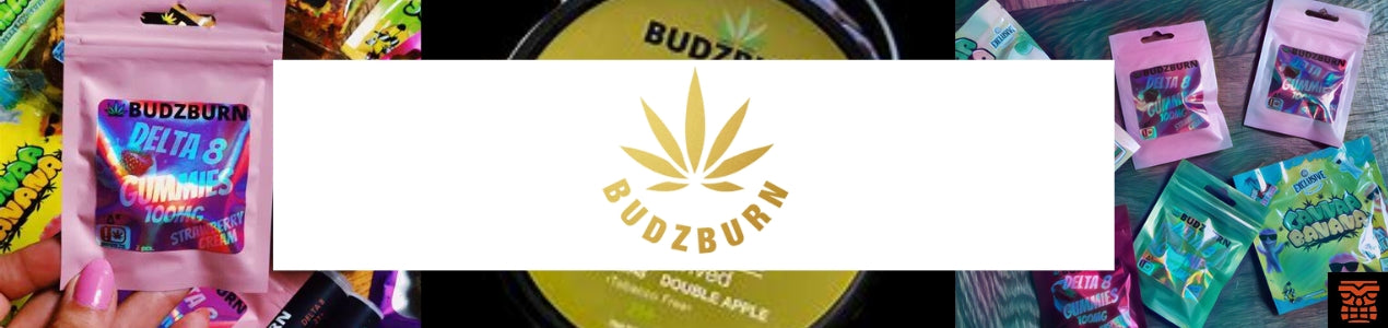 Budzburn