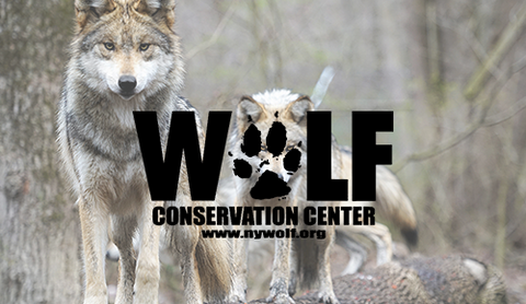 Wolf Conservation Center