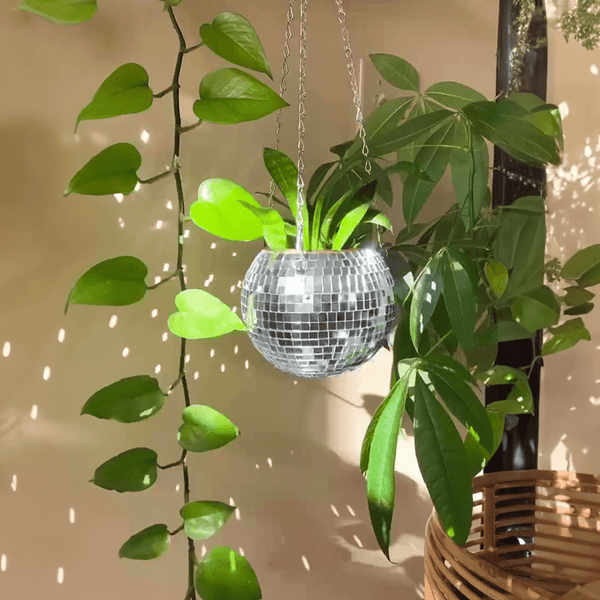 The Disco Planter