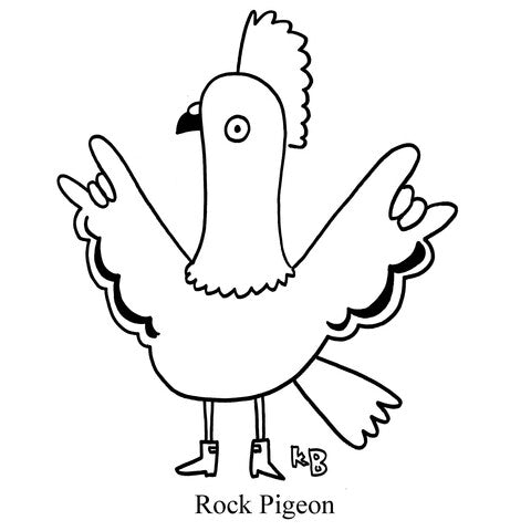 Rock Pigeon - Cartoons by katiebcartoons