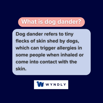 What is dog dander and definition of dog dander