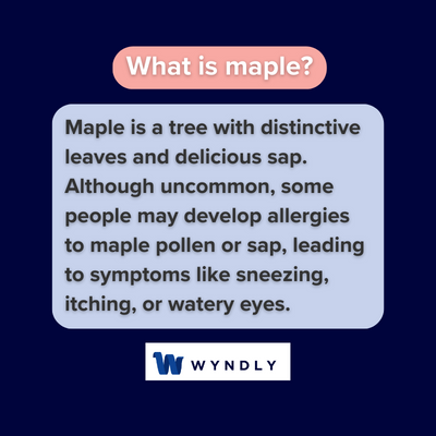 What is maple and definition of maple