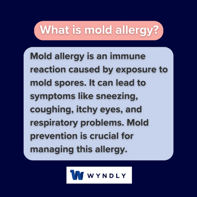 What is mold allergy and definition of mold allergy
