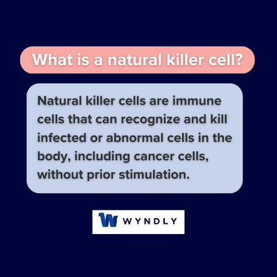 What is a natural killer cell and definition of natural killer cell