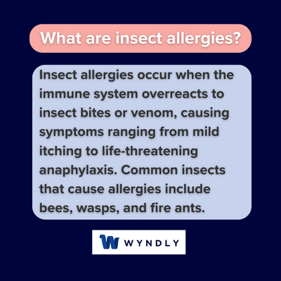 What are insect allergies and definition of insect allergies 