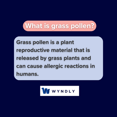 What is grass pollen and definition of grass pollen