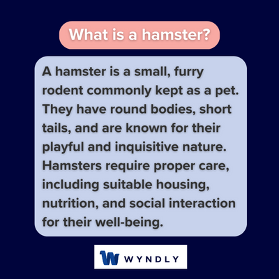 What is a hamster and definition of a hamster