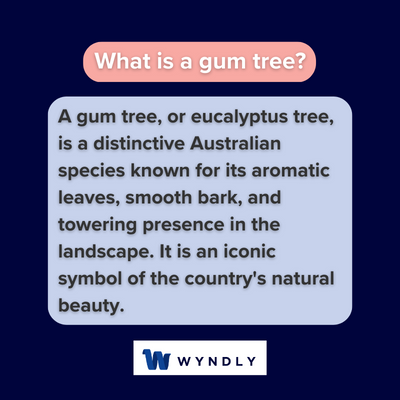 What is gum tree and definition of gum tree