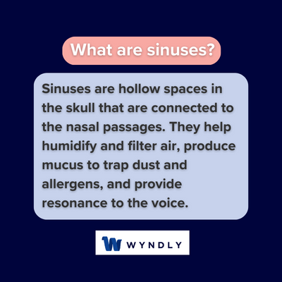 What are sinuses and definition of sinuses