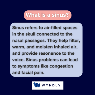 What is a sinus and definition of a sinus