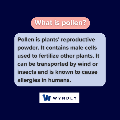 What is pollen and definition of pollen