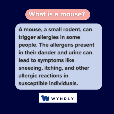 What is a mouse and definition of a mouse