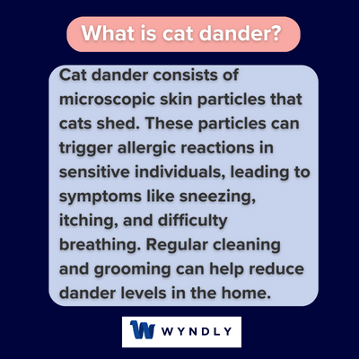 What is cat dander and definition of cat dander