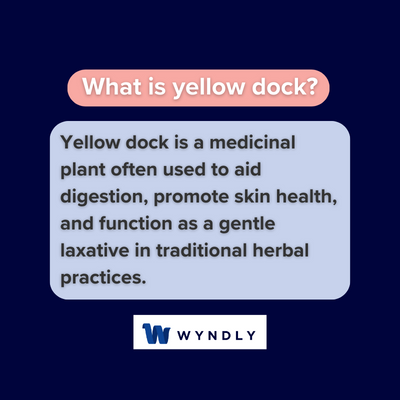 What is yellow dock and definition of yellow dock