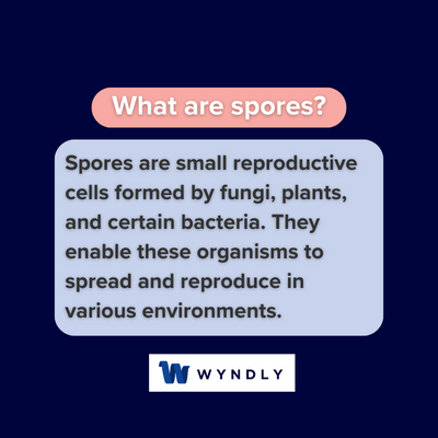 What are spores and definition of spores