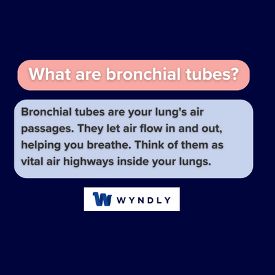 What are bronchial tubes and definition of bronchial tubes