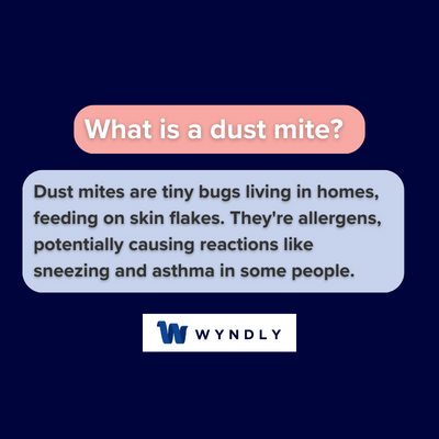 What is a dust mite and definition of a dust mite