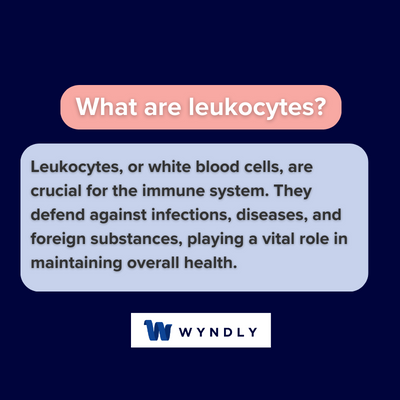 What are leukocytes and definition of leukocytes
