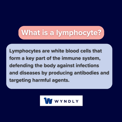 What is a lymphocyte and definition of lymphocyte