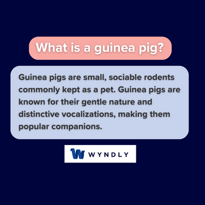What is a guinea pig and definition of a guinea pig