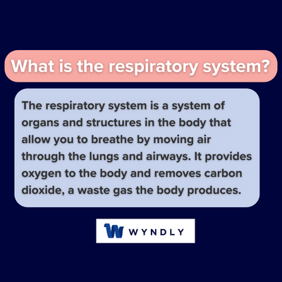 What is the respiratory system and definition of the respiratory system