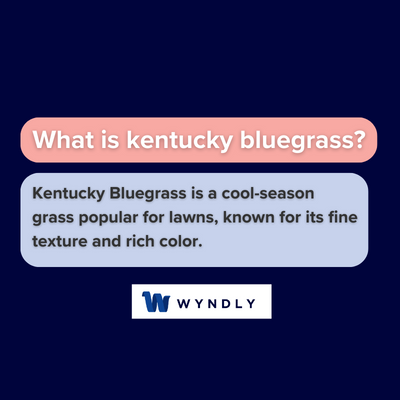 What is kentucky bluegrass and definition of kentucky bluegrass