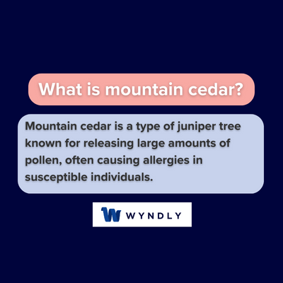 What is mountain cedar and definition of mountain cedar