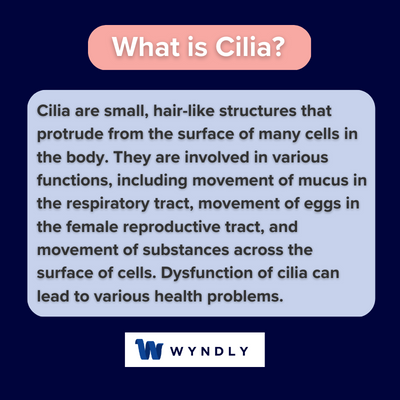 What is Cilia and definition of Cilia