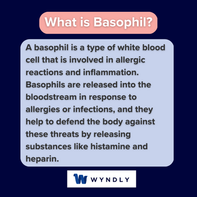 What is basophil and definition of basophil