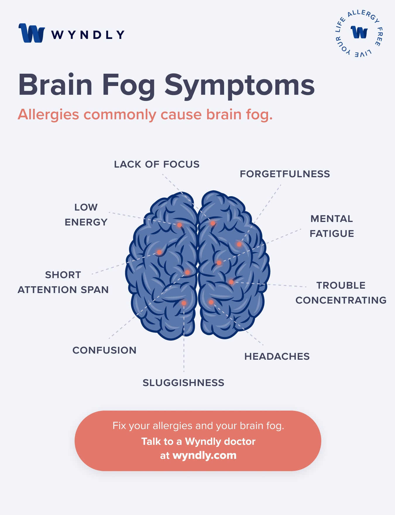 Common Brain Fog Symptoms Infographic
