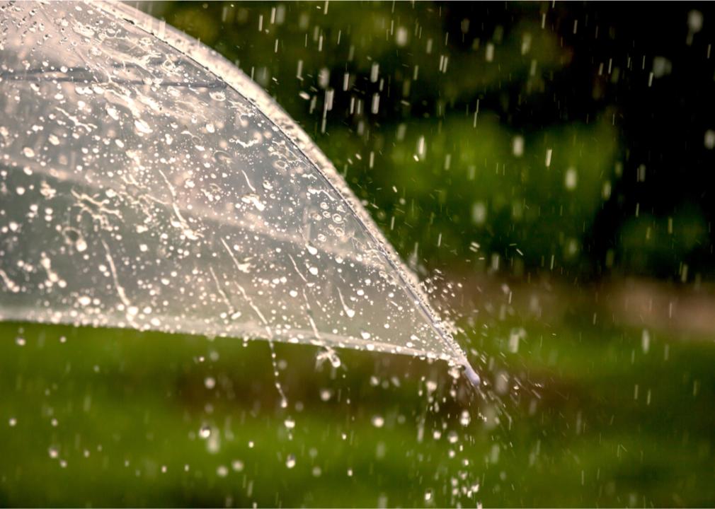 Umbrella in rain