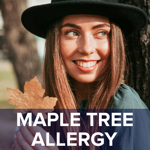 15+ Box Elder Maple Allergy