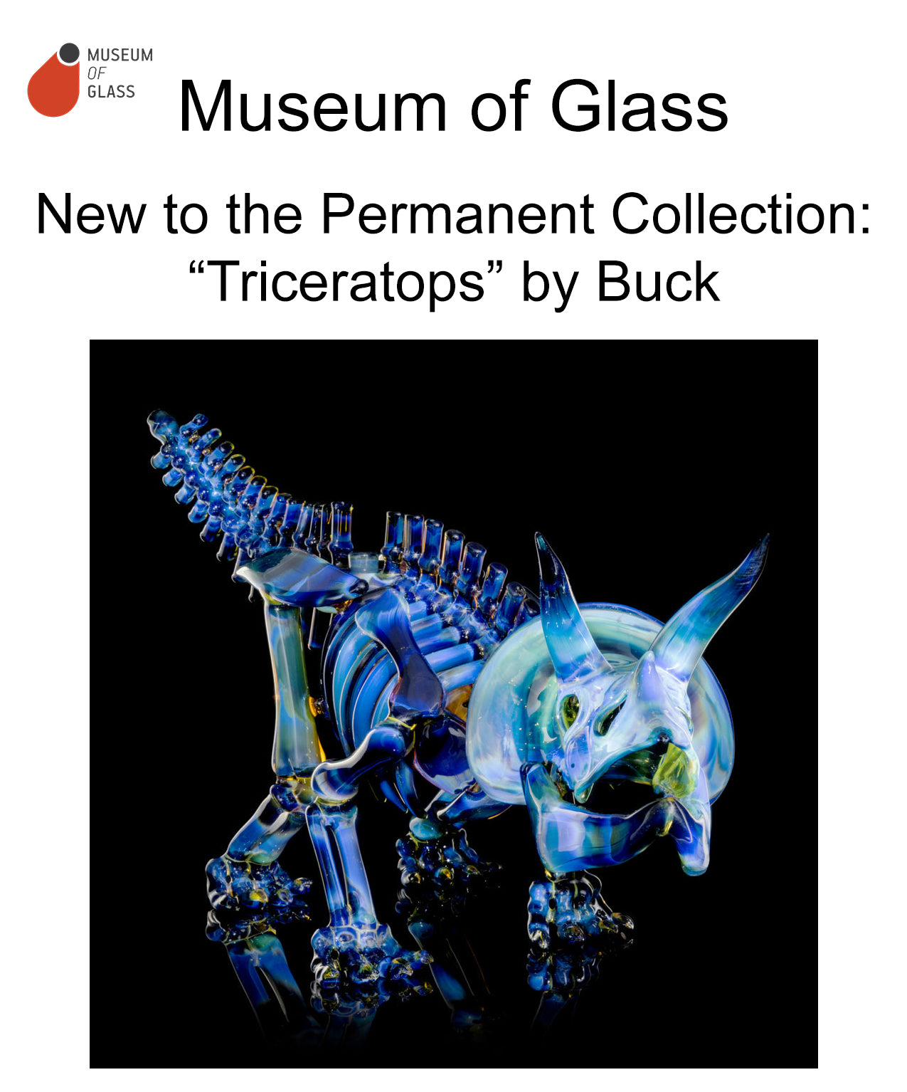 BUCK GLASS - Museum of Glass Permanent Collection: Triceratops by Buck