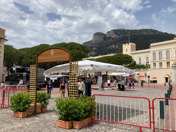 The princely palace square in Monaco