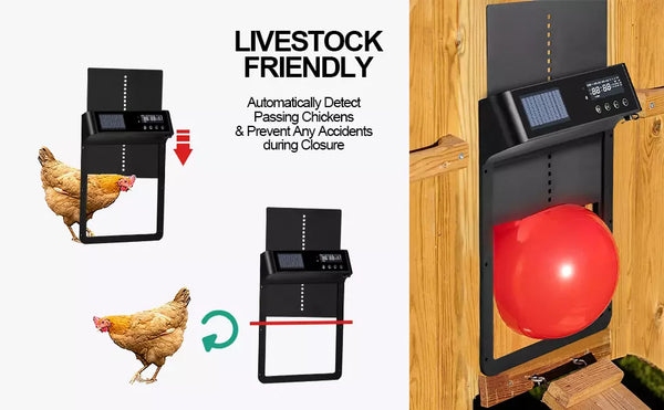 VITESSE Automatic Chicken Coop Door