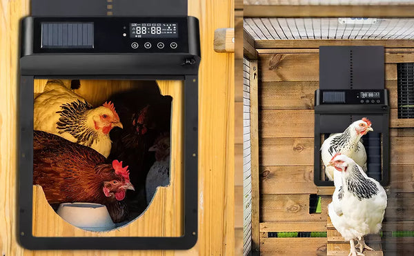 VITESSE Automatic Chicken Coop Door